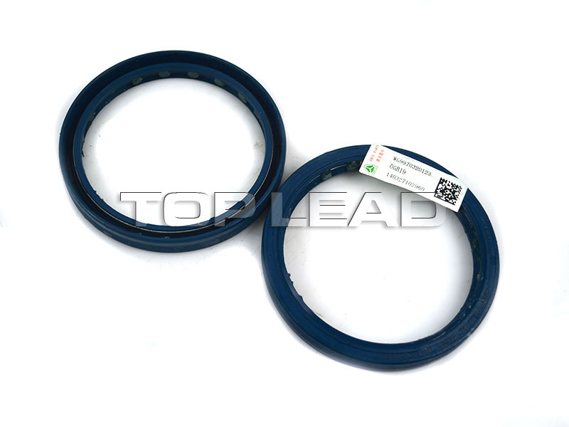 HOWO Oil Seal
