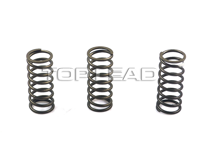 SINOTRUK HOWO Valve spring VG1500050001