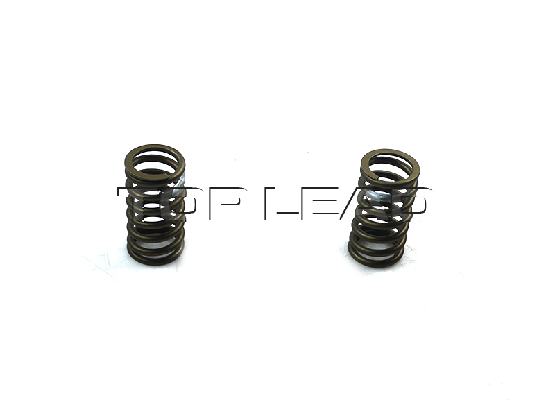 exhaust valve spring Part No.:VG1246050064