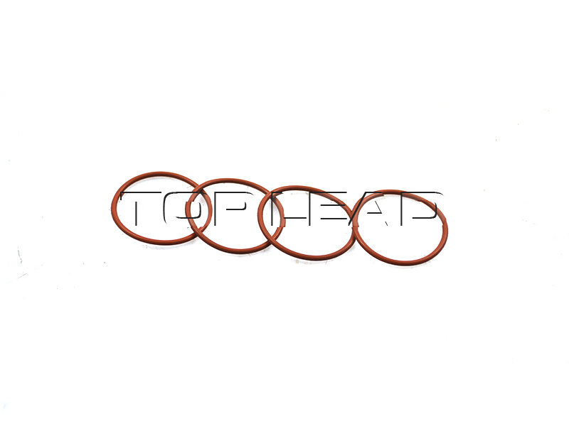 SINOTRUK VG1246060027 o-ring