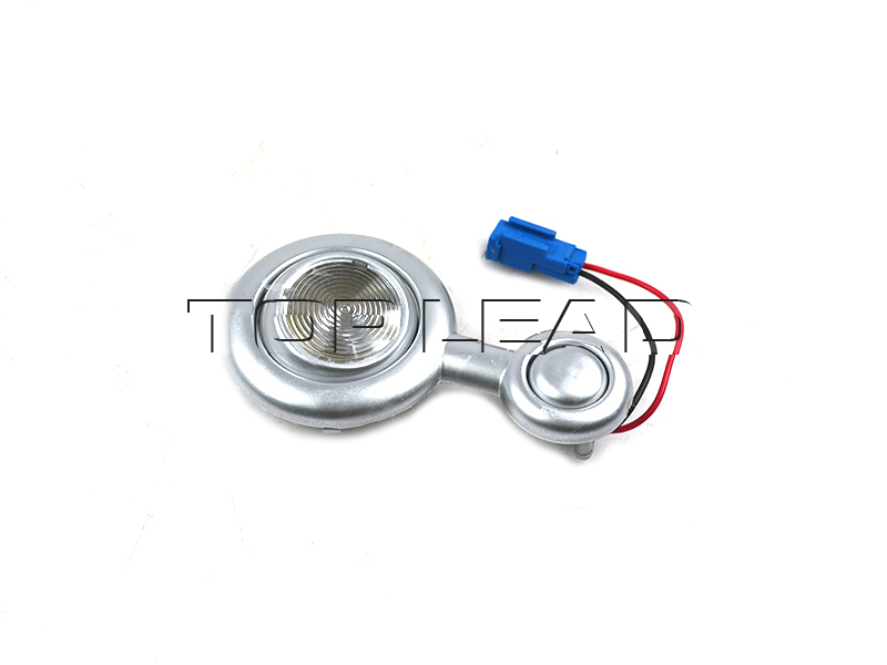 SINOTRUK Light WG9925720019
