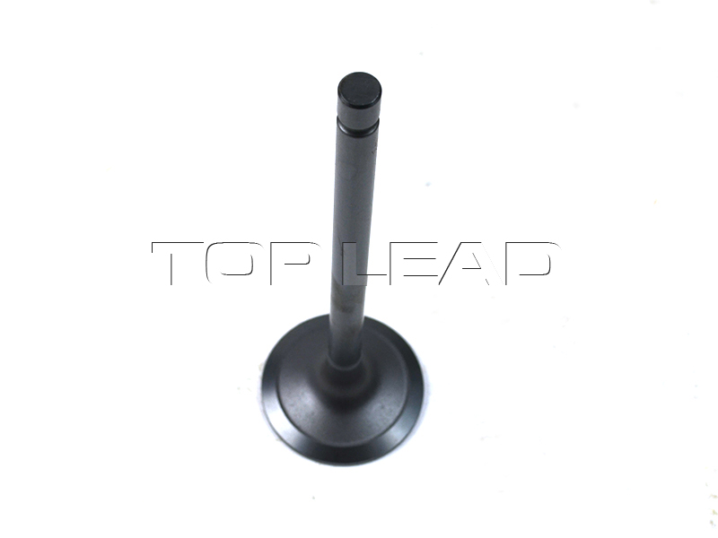 SINOTRUK HOWO Intake Valve VG1540050015