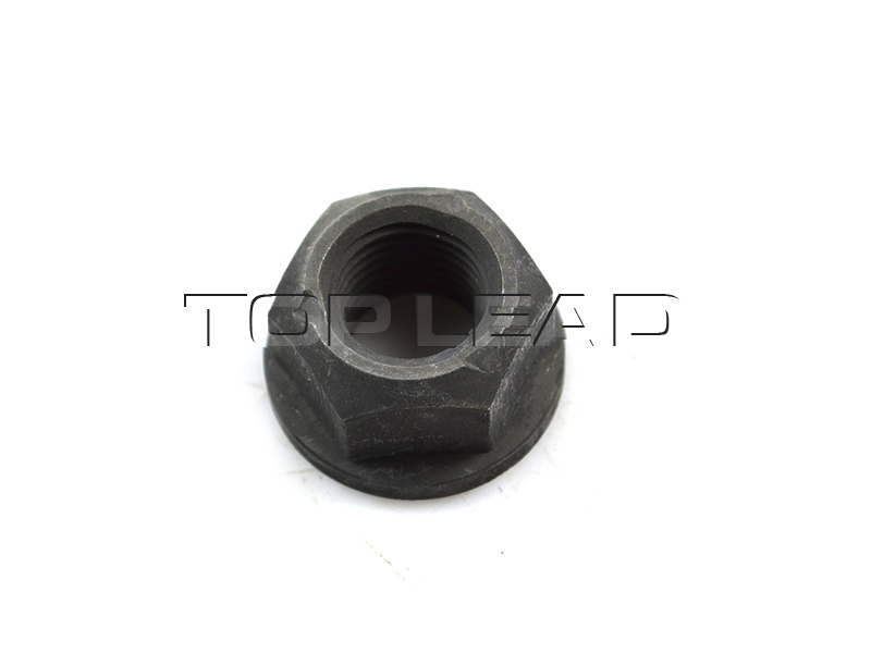 SINOTRUK Hexagon nut Q33422T13F2