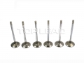 Intake valve D04-110-33+A for D6114 engine