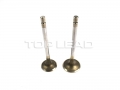Intake valve D04-110-33+A for D6114 engine