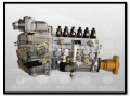 WEICHAI® Genuine --Injection pump-612601080225