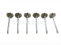 Intake valve D04-110-33+A for D6114 engine