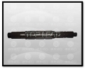 FAST® Genuine --Main shaft--DS100-1701101105