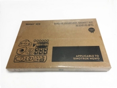 Easy installation WD615 Series Engine Overhaul Gasket Kits